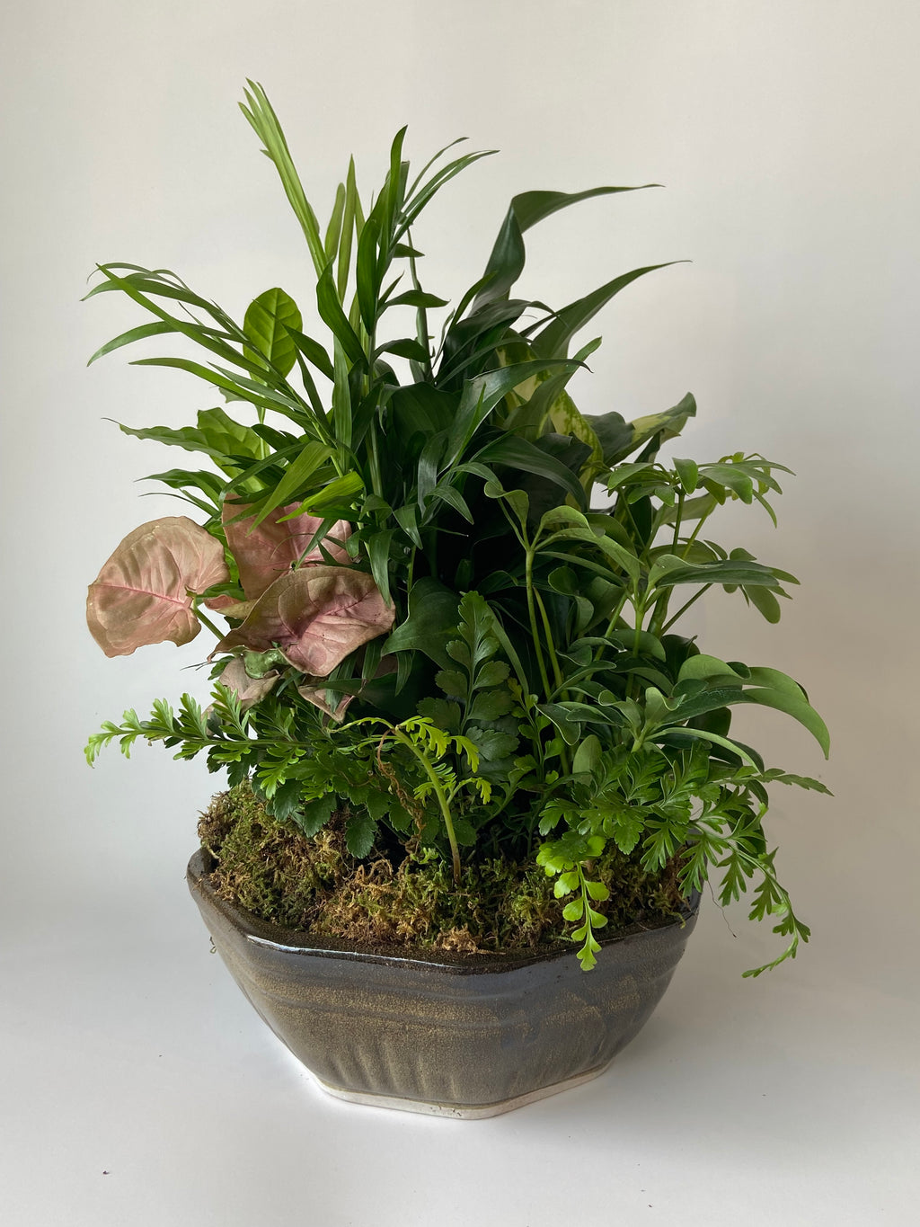 plant pot and dish Dish Garden – Thistle & Twig Flowers
