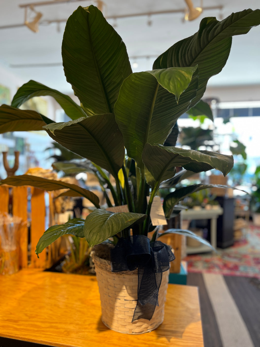 Peace Lily – Thistle & Twig Flowers