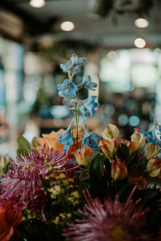 Seasonal Vase Arrangement